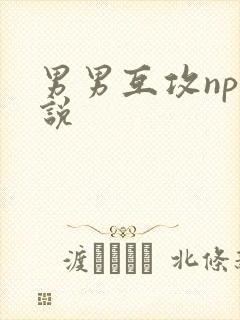 男男互攻np小说封面