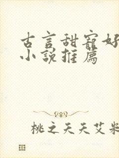 古言甜宠好看的小说推荐
