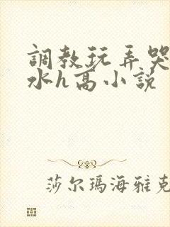 调教玩弄哭泣喷水h高小说封面