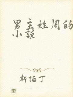 男主姓周的现代小说