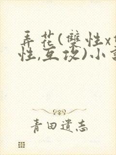 弄花(双性x双性,互攻)小说封面