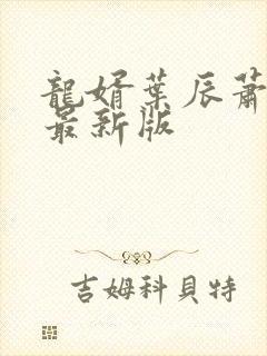 龙婿叶辰萧初然最新版