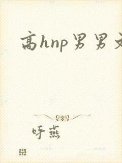 高hnp男男文