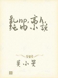 乱np,高h,纯肉小说封面