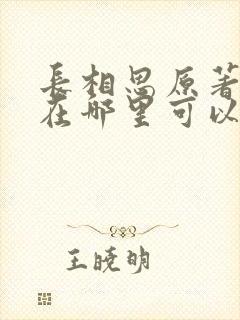 长相思原著小说在哪里可以看