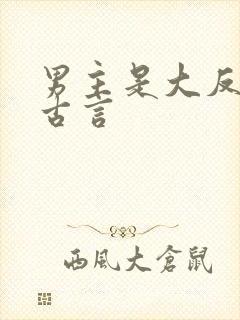 男主是大反派的古言封面