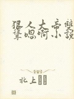 狠人大帝双乳高耸嗯啊小说