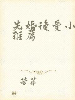 先婚后爱小甜文推荐