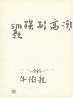 sm强制高潮调教