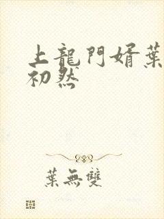 上龙门婿叶辰萧初然