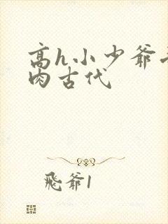 高h小少爷受荡肉古代封面
