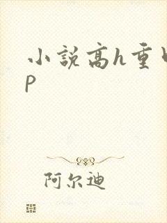 小说高h重口np
