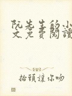 阮先生的小说全文免费阅读无弹窗