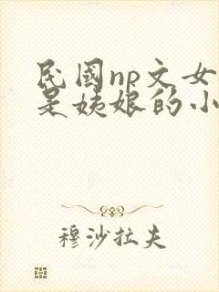 民国np文女主是姨娘的小说封面