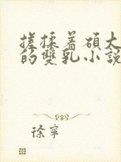 搓揉着硕大丰满的双乳小说