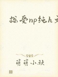 总受np纯h文