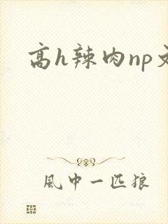 高h辣肉np文