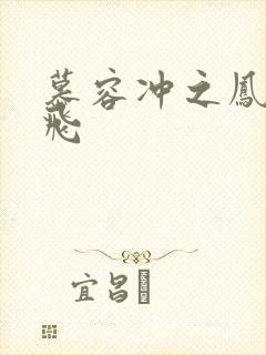 慕容冲之凤凰于飞