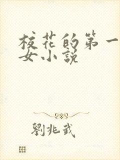 校花的第一次处女小说