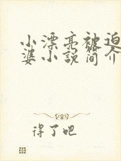 小漂亮被迫当老婆小说简介