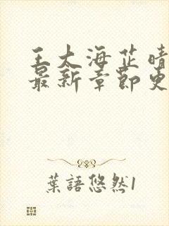 王大海芷晴小说最新章节更新内容