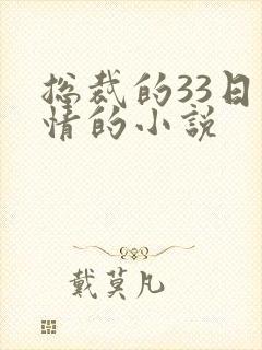 总裁的33日索情的小说