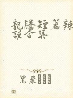 龙腾短篇辣文小说合集