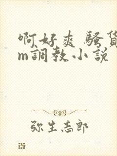 啊好爽 骚货sm调教小说封面