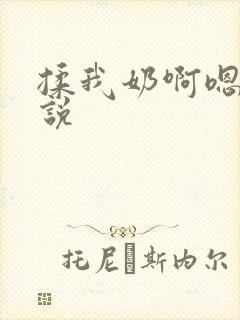 揉我奶啊嗯高小说