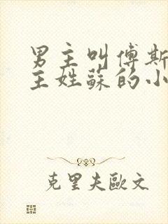 男主叫傅斯年女主姓苏的小说