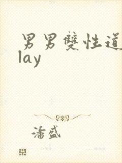 男男双性道具play