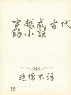 穿越成古代王爷的小说封面