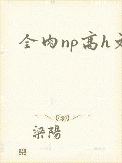 全肉np高h文