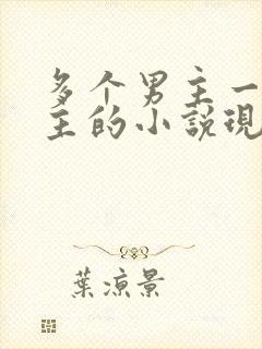 多个男主一个女主的小说现代