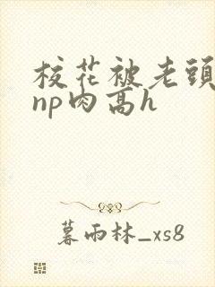 校花被老头强迫np肉高h