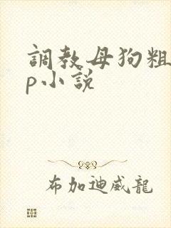 调教母狗粗口np小说封面