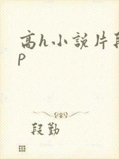 高h小说片段np