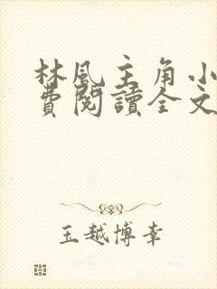 林风主角小说免费阅读全文封面