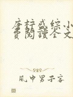 唐柠盛综小说免费阅读全文最新章节封面