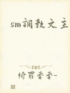 sm调教文主奴封面