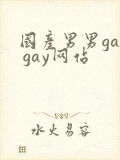 国产男男gay gay网站