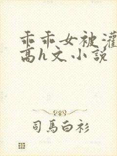 乖乖女被灌满精高h文小说