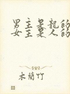 男主是龙的小说女主是人的