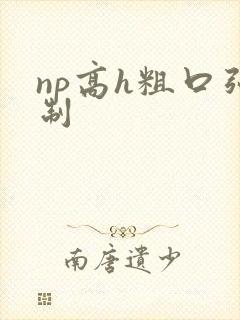 np高h粗口强制