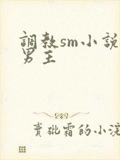 调教sm小说双男主封面