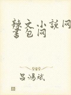 辣文小说网第二书包网