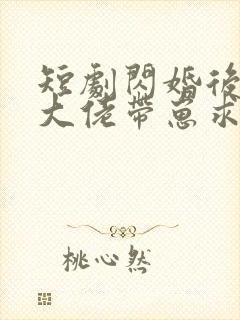 短剧闪婚后禁欲大佬带崽求名分