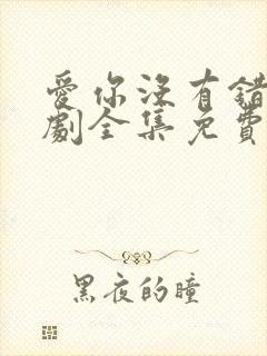 爱你没有错电视剧全集免费观看