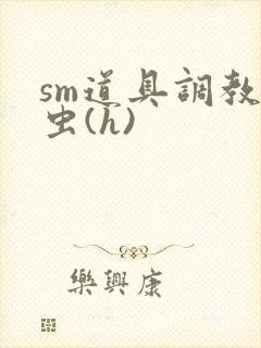 sm道具调教雌虫(h)