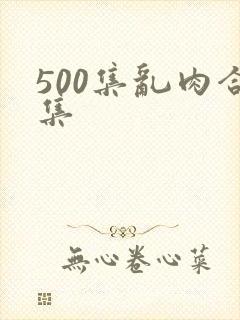 500集乱肉合集